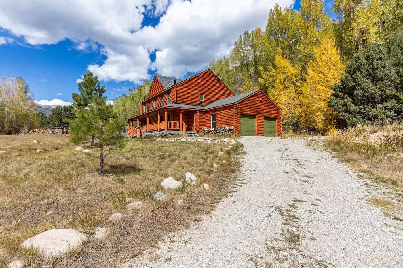 Gravel driveway with fall aspens